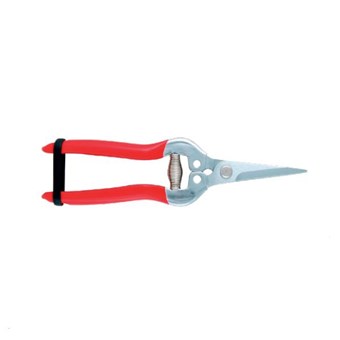 ΨΑΛΙΔΙ ΦΡΟΥΤΩΝ TAIWAN ΙΣΙΟ (510012)