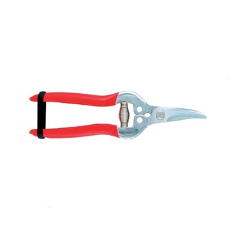 ΨΑΛΙΔΙ ΦΡΟΥΤΩΝ TAIWAN ΚΥΡΤΟ (K1851H)