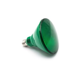 LED ΛΑΜΠΑ ADELEQ PAR38 E27 6W 230V 38° ΠΡΑΣΙΝΟ ΦΩΣ (13-38065)